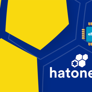 Hatonet 2 GB - 15 days