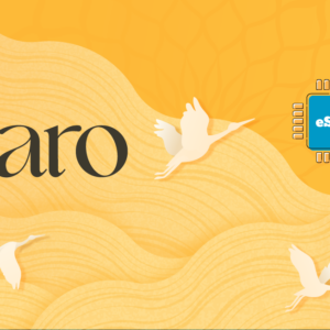 Paro 2 GB - 15 days