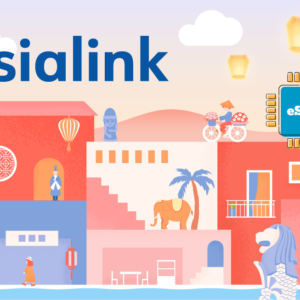 Asialink 100 GB - 180 days